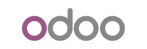 We Serve Odoo Ecommerce